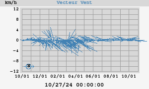 Wind Vector